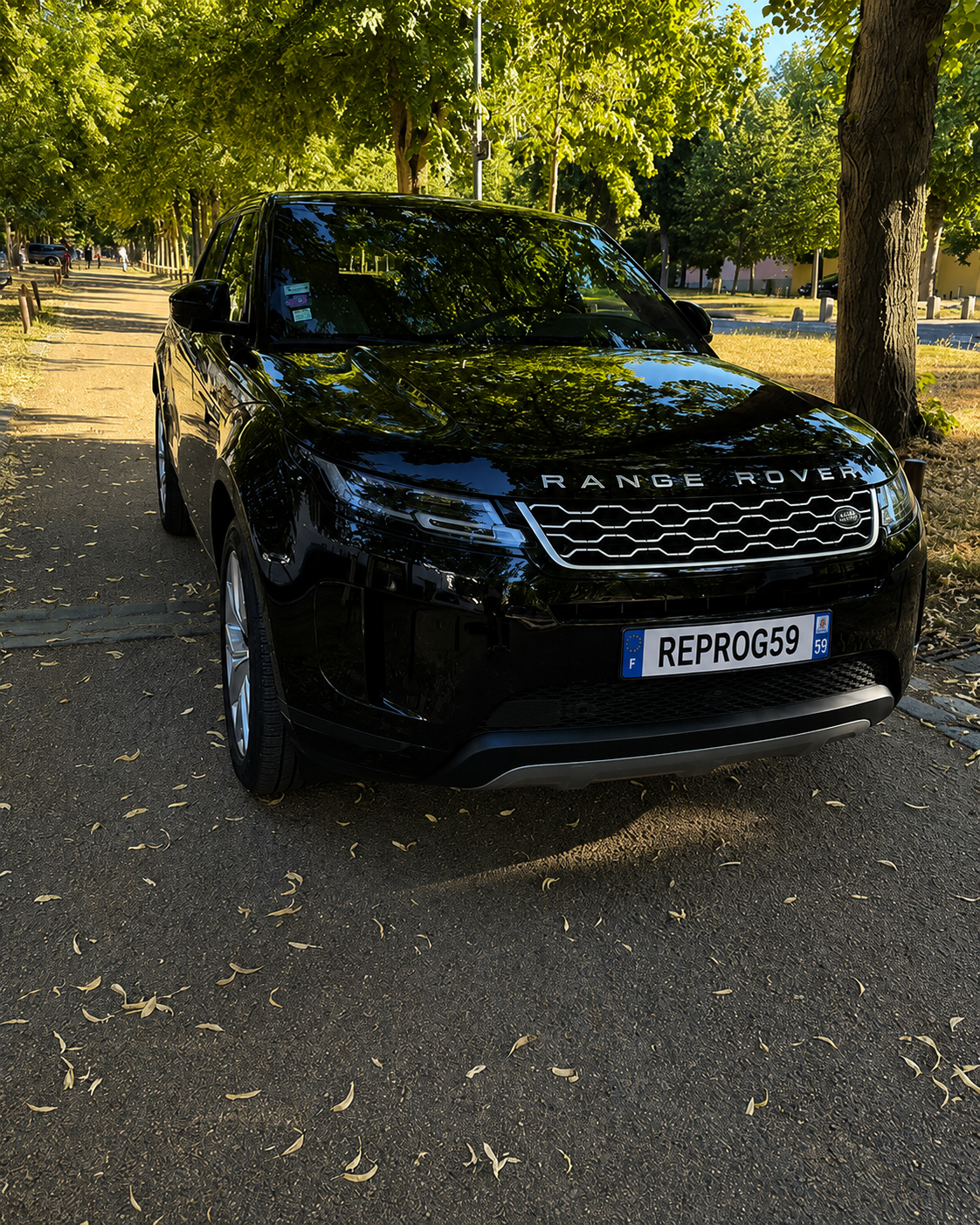 Land Rover Evoque 2.0D 240 ch — Suppression AdBlue